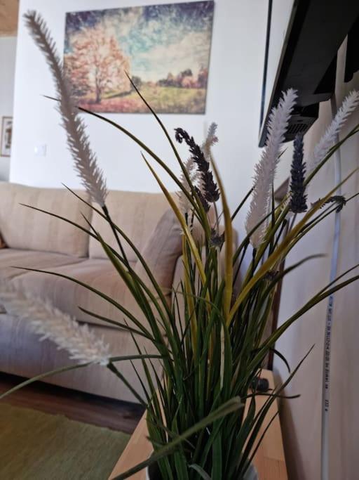 Gs Home Гитион Экстерьер фото