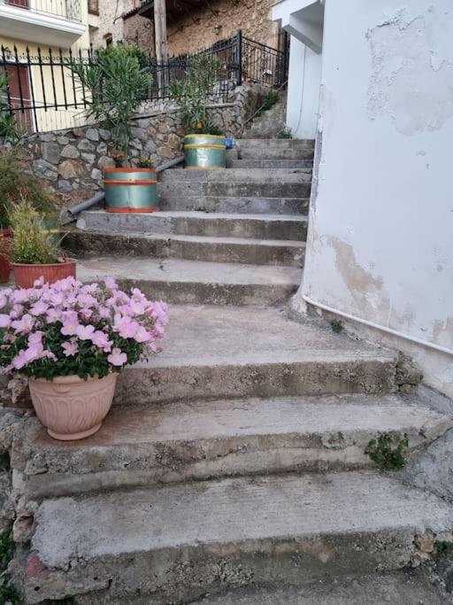 Gs Home Гитион Экстерьер фото